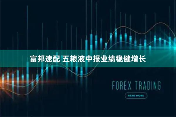 富邦速配 五粮液中报业绩稳健增长