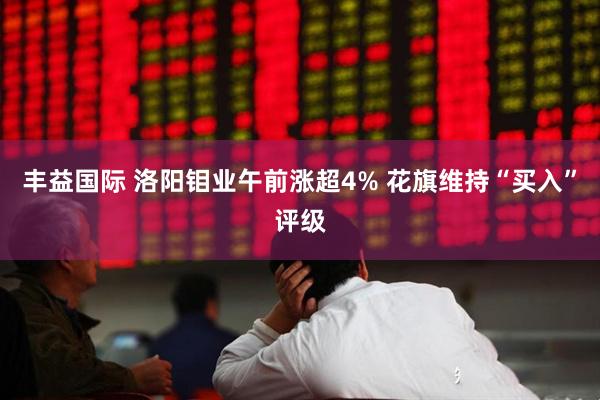 丰益国际 洛阳钼业午前涨超4% 花旗维持“买入”评级