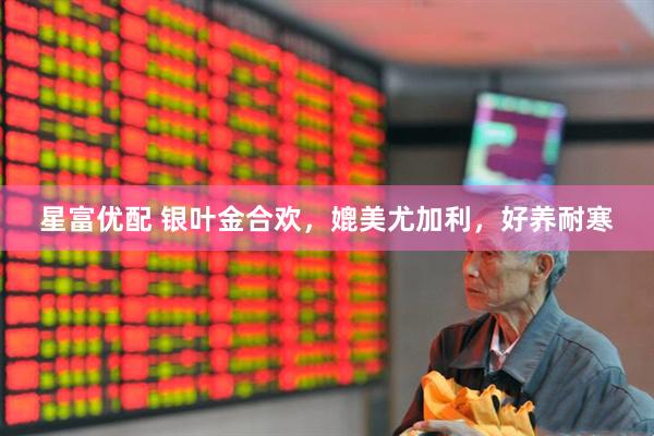 星富优配 银叶金合欢，媲美尤加利，好养耐寒