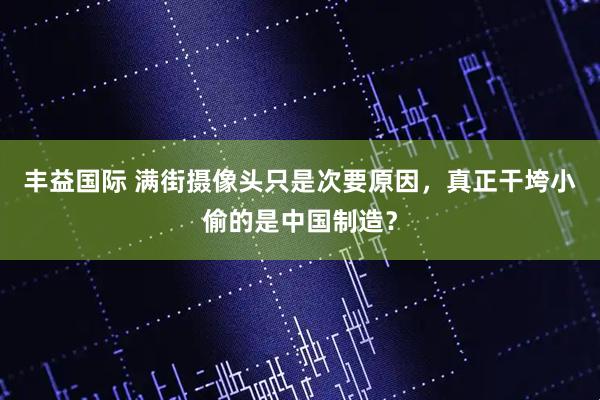 丰益国际 满街摄像头只是次要原因，真正干垮小偷的是中国制造？